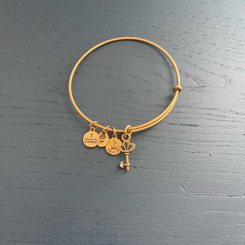 Alex and Ani Key Bracelet